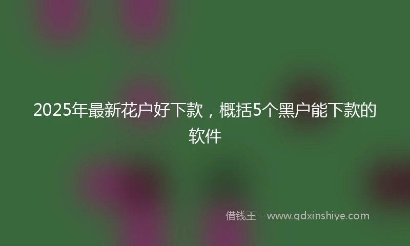 2025年最新花户好下款，概括5个黑户能下款的软件