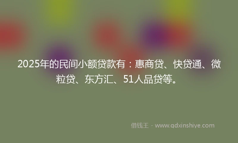 2025年的民间小额贷款有：惠商贷、快贷通、微粒贷、东方汇、51人品贷等。