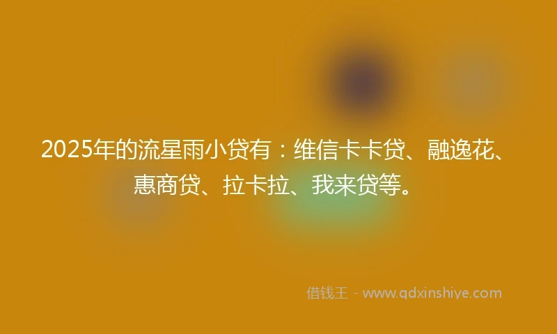 2025年的流星雨小贷有：维信卡卡贷、融逸花、惠商贷、拉卡拉、我来贷等。