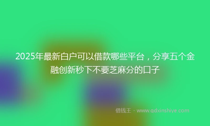 2025年最新白户可以借款哪些平台，分享五个金融创新秒下不要芝麻分的口子