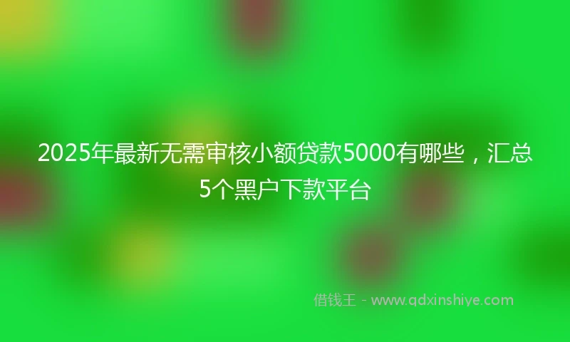 2025年最新无需审核小额贷款5000有哪些，汇总5个黑户下款平台