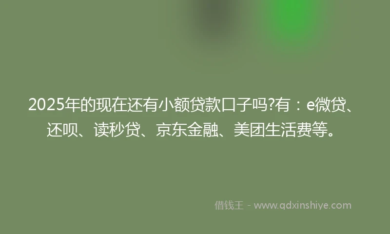 2025年的现在还有小额贷款口子吗?有：e微贷、还呗、读秒贷、京东金融、美团生活费等。