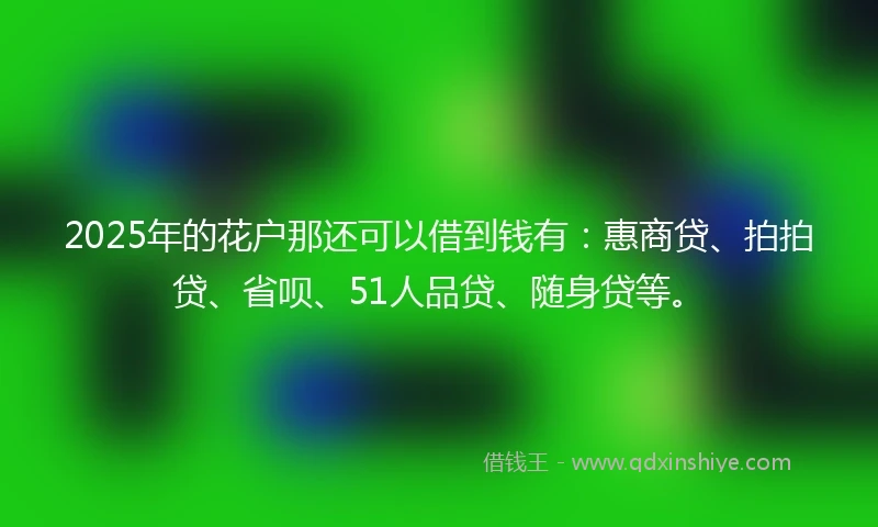 2025年的花户那还可以借到钱有:惠商贷、拍拍贷、省呗、51人品贷、随身贷等。
