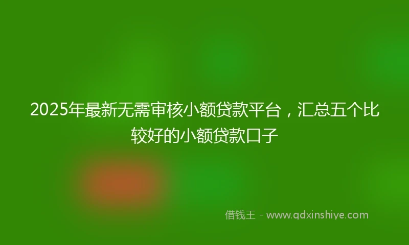 2025年最新无需审核小额贷款平台，汇总五个比较好的小额贷款口子