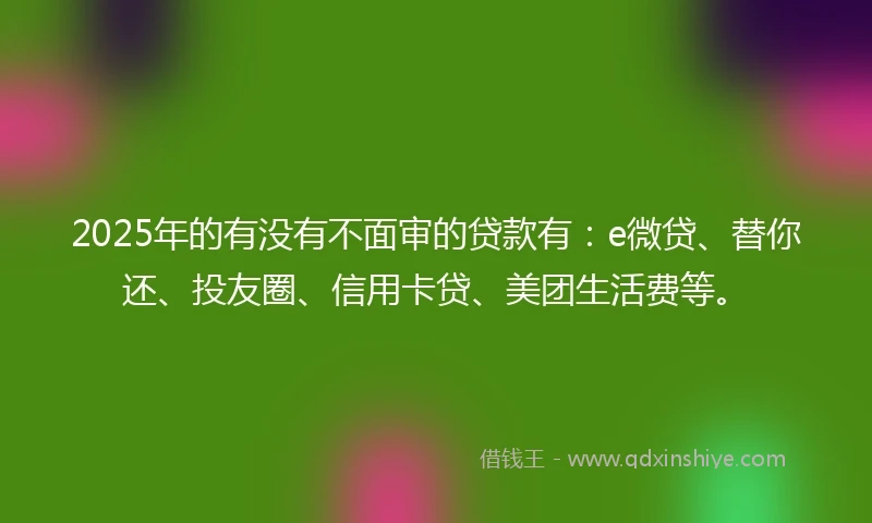 2025年的有没有不面审的贷款有：e微贷、替你还、投友圈、信用卡贷、美团生活费等。