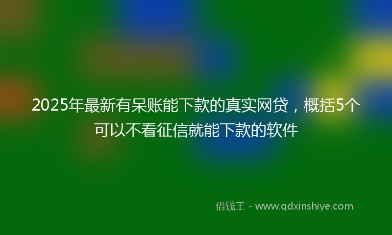2025年最新有呆账能下款的真实网贷，概括5个可以不看征信就能下款的软件