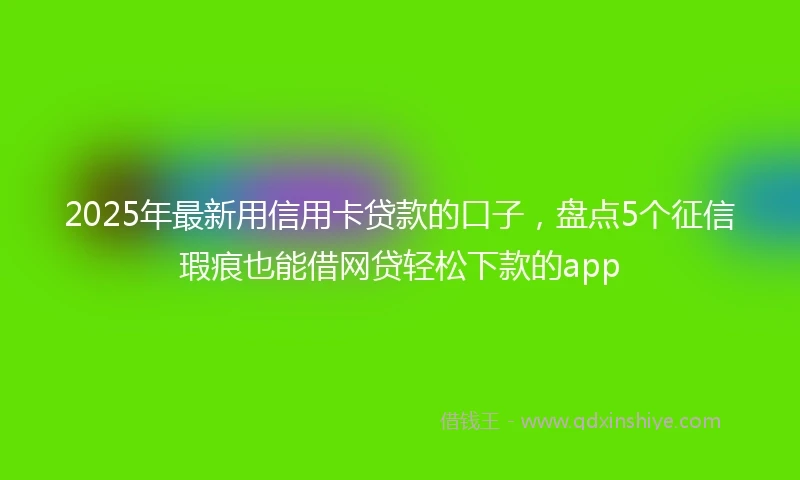 2025年最新用信用卡贷款的口子，盘点5个征信瑕疵也能借网贷轻松下款的app