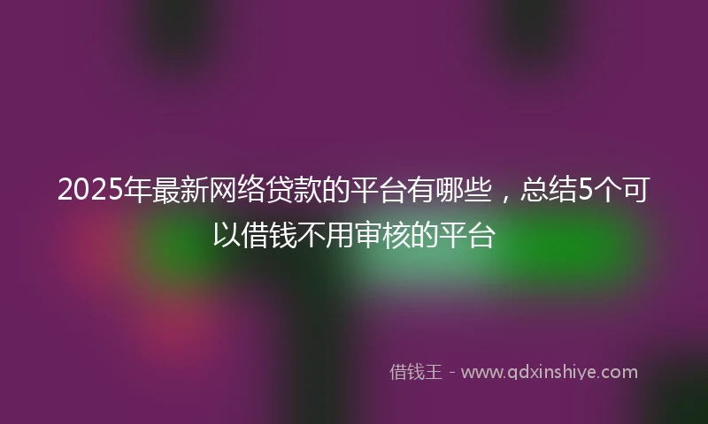 2025年最新网络贷款的平台有哪些，总结5个可以借钱不用审核的平台