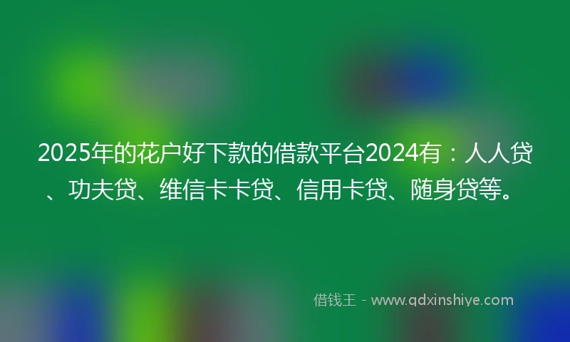 2025年的花户好下款的借款平台2024有：人人贷、功夫贷、维信卡卡贷、信用卡贷、随身贷等。