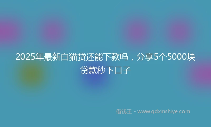 2025年最新白猫贷还能下款吗，分享5个5000块贷款秒下口子