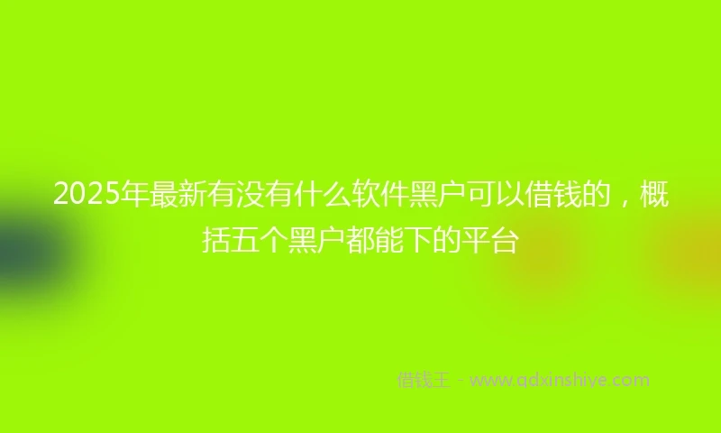 2025年最新有没有什么软件黑户可以借钱的，概括五个黑户都能下的平台