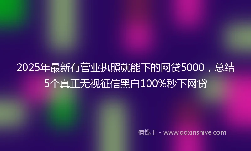 2025年最新有营业执照就能下的网贷5000，总结5个真正无视征信黑白100%秒下网贷