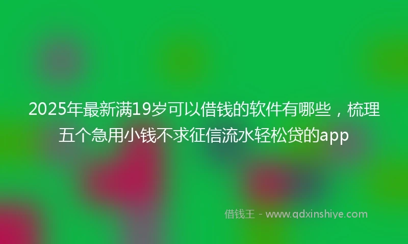 2025年最新满19岁可以借钱的软件有哪些，梳理五个急用小钱不求征信流水轻松贷的app