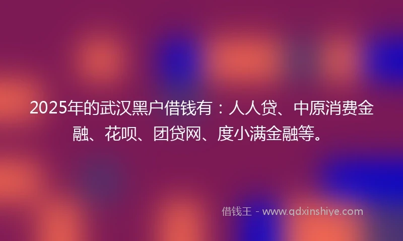 2025年的武汉黑户借钱有：人人贷、中原消费金融、花呗、团贷网、度小满金融等。
