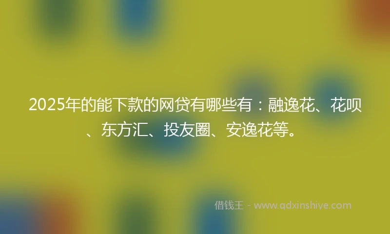 2025年的能下款的网贷有哪些有：融逸花、花呗、东方汇、投友圈、安逸花等。