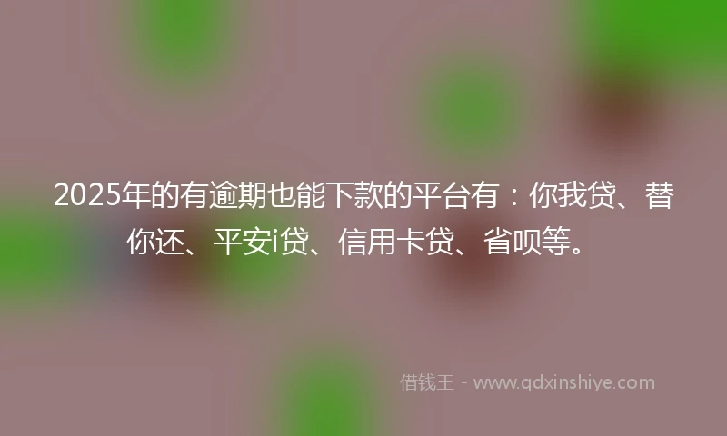 2025年的有逾期也能下款的平台有:你我贷、替你还、平安i贷、信用卡贷、省呗等。