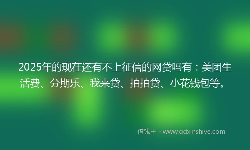 2025年的现在还有不上征信的网贷吗有：美团生活费、分期乐、我来贷、拍拍贷、小花钱包等。