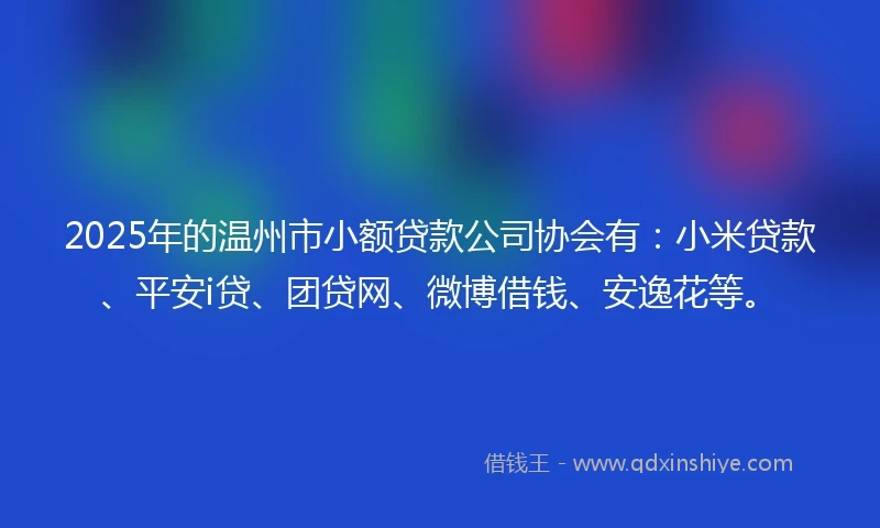 2025年的温州市小额贷款公司协会有：小米贷款、平安i贷、团贷网、微博借钱、安逸花等。