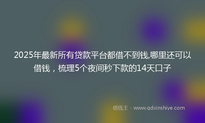 2025年最新所有贷款平台都借不到钱,哪里还可以借钱，梳理5个夜间秒下款的14天口子