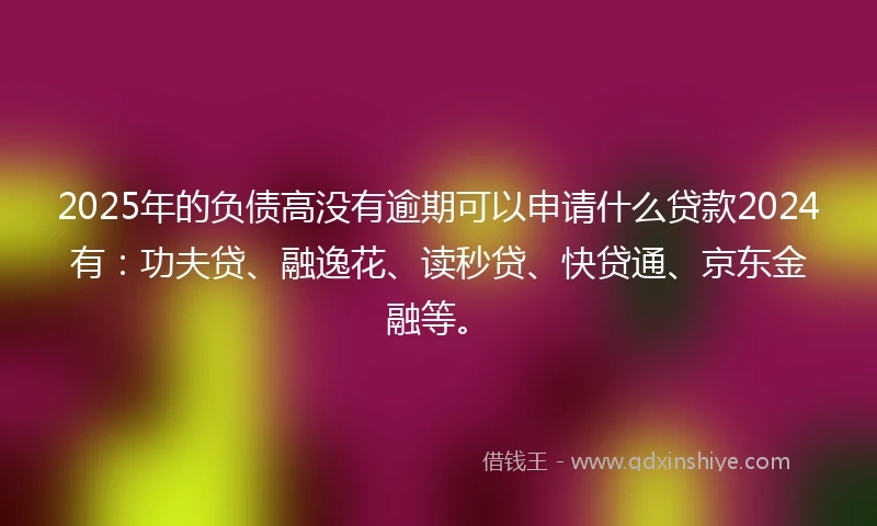 2025年的负债高没有逾期可以申请什么贷款2024有：功夫贷、融逸花、读秒贷、快贷通、京东金融等。
