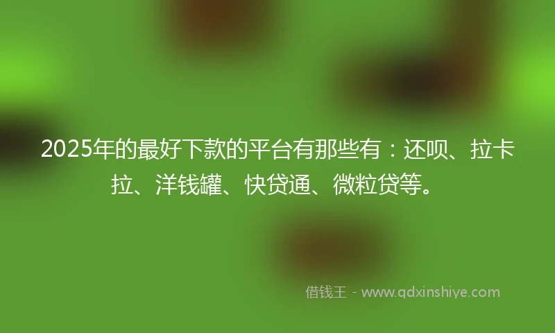 2025年的最好下款的平台有那些有：还呗、拉卡拉、洋钱罐、快贷通、微粒贷等。