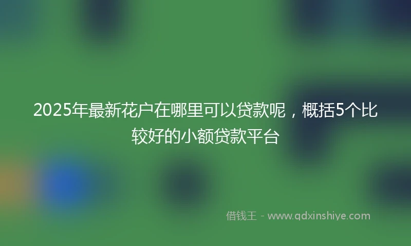 2025年最新花户在哪里可以贷款呢，概括5个比较好的小额贷款平台