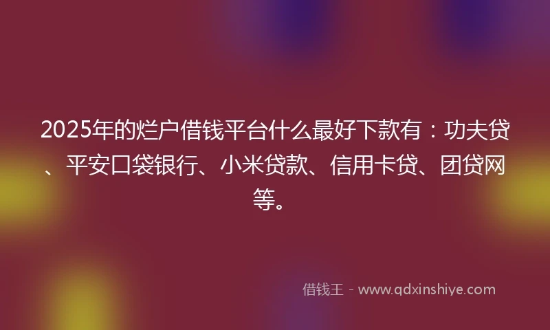 2025年的烂户借钱平台什么最好下款有：功夫贷、平安口袋银行、小米贷款、信用卡贷、团贷网等。