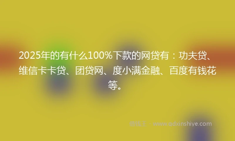 2025年的有什么100%下款的网贷有：功夫贷、维信卡卡贷、团贷网、度小满金融、百度有钱花等。