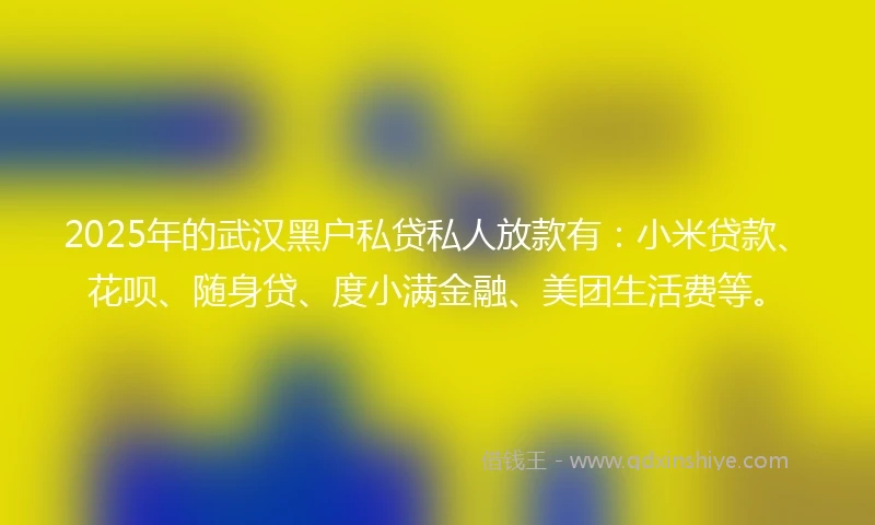 2025年的武汉黑户私贷私人放款有：小米贷款、花呗、随身贷、度小满金融、美团生活费等。