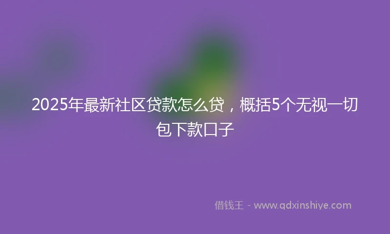 2025年最新社区贷款怎么贷，概括5个无视一切包下款口子
