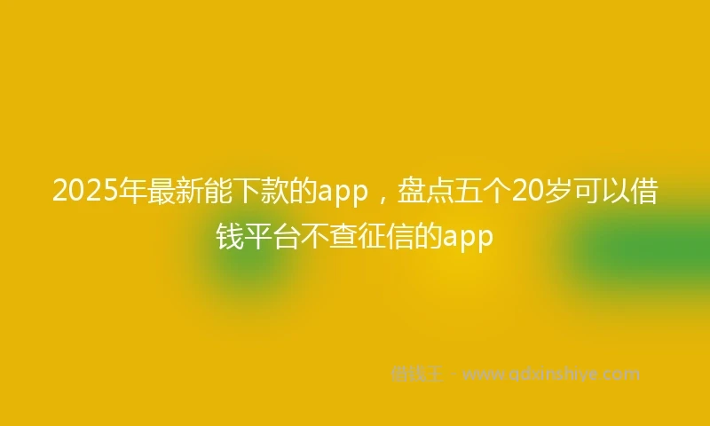 2025年最新能下款的app，盘点五个20岁可以借钱平台不查征信的app