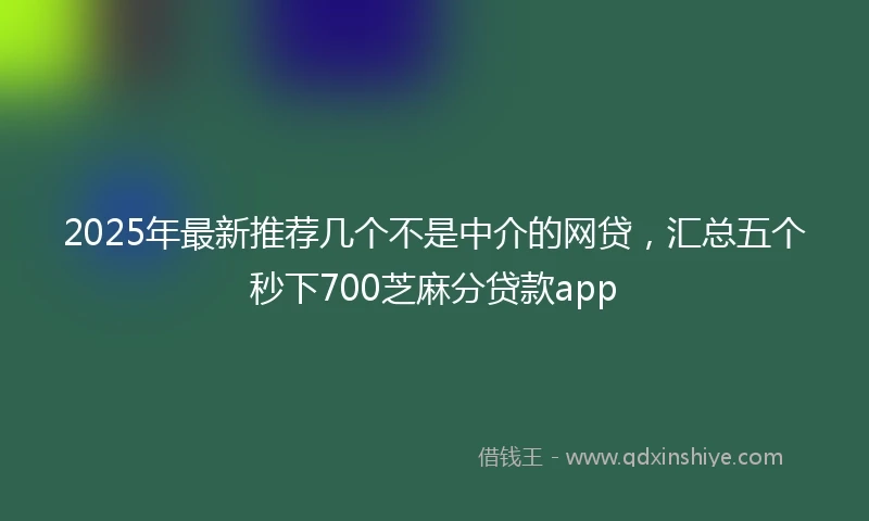 2025年最新推荐几个不是中介的网贷，汇总五个秒下700芝麻分贷款app