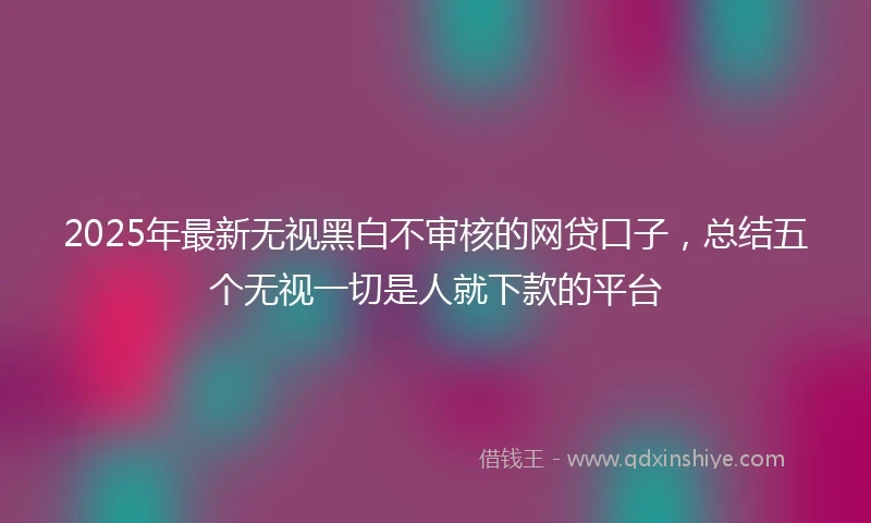 2025年最新无视黑白不审核的网贷口子，总结五个无视一切是人就下款的平台