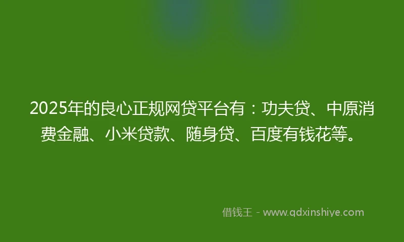 2025年的良心正规网贷平台有：功夫贷、中原消费金融、小米贷款、随身贷、百度有钱花等。