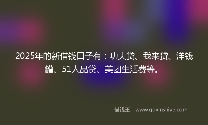 2025年的新借钱口子有：功夫贷、我来贷、洋钱罐、51人品贷、美团生活费等。