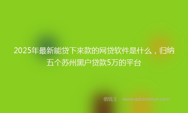 2025年最新能贷下来款的网贷软件是什么，归纳五个苏州黑户贷款5万的平台