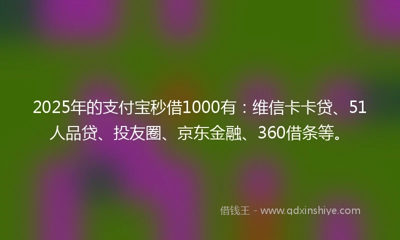 2025年的支付宝秒借1000有：维信卡卡贷、51人品贷、投友圈、京东金融、360借条等。
