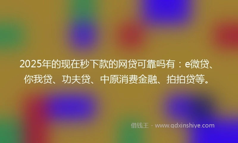 2025年的现在秒下款的网贷可靠吗有：e微贷、你我贷、功夫贷、中原消费金融、拍拍贷等。