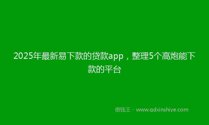 2025年最新易下款的贷款app，整理5个高炮能下款的平台