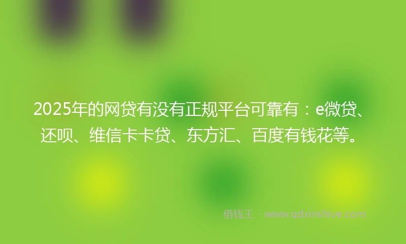 2025年的网贷有没有正规平台可靠有：e微贷、还呗、维信卡卡贷、东方汇、百度有钱花等。
