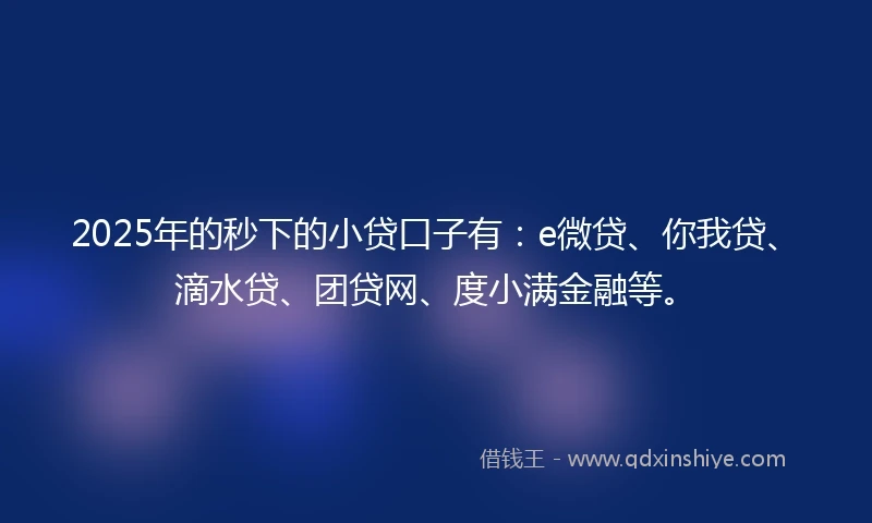2025年的秒下的小贷口子有：e微贷、你我贷、滴水贷、团贷网、度小满金融等。