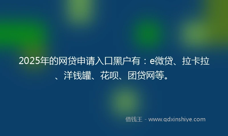 2025年的网贷申请入口黑户有：e微贷、拉卡拉、洋钱罐、花呗、团贷网等。