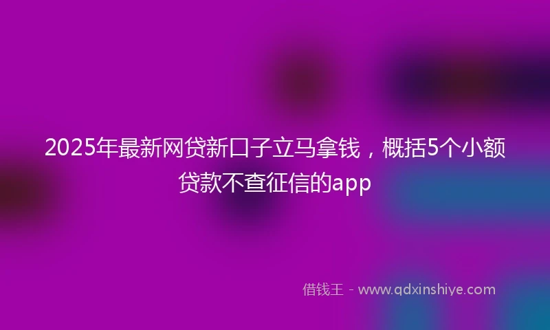 2025年最新网贷新口子立马拿钱，概括5个小额贷款不查征信的app