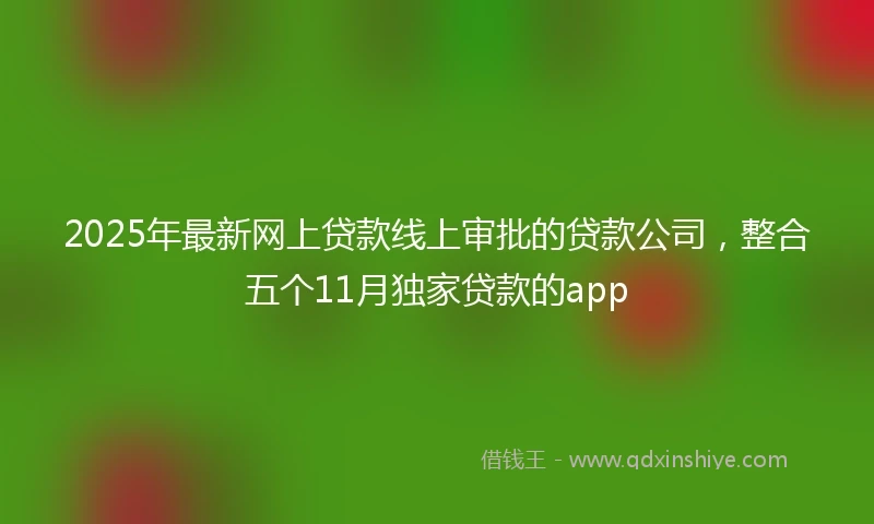 2025年最新网上贷款线上审批的贷款公司，整合五个11月独家贷款的app