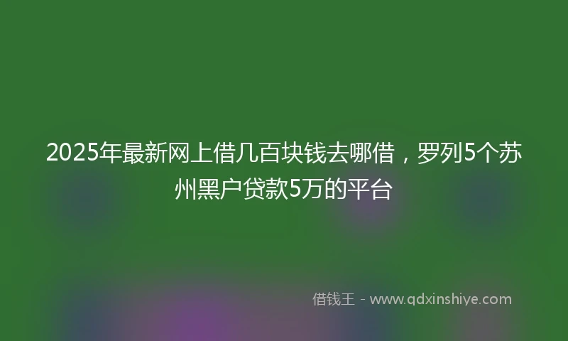 2025年最新网上借几百块钱去哪借，罗列5个苏州黑户贷款5万的平台