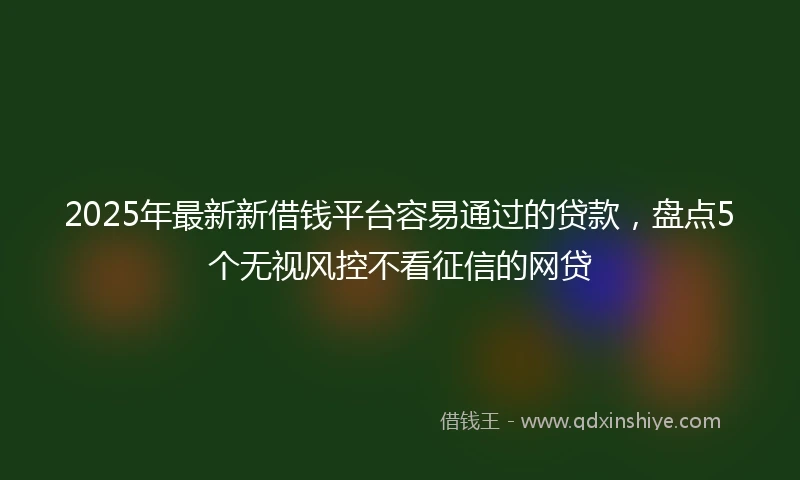 2025年最新新借钱平台容易通过的贷款，盘点5个无视风控不看征信的网贷