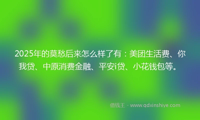 2025年的莫愁后来怎么样了有：美团生活费、你我贷、中原消费金融、平安i贷、小花钱包等。
