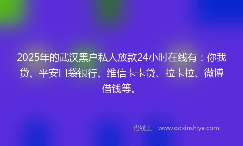 2025年的武汉黑户私人放款24小时在线有：你我贷、平安口袋银行、维信卡卡贷、拉卡拉、微博借钱等。