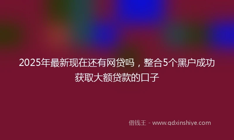 2025年最新现在还有网贷吗，整合5个黑户成功获取大额贷款的口子