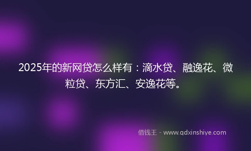 2025年的新网贷怎么样有：滴水贷、融逸花、微粒贷、东方汇、安逸花等。